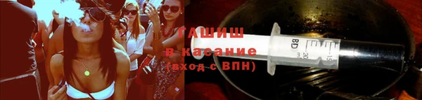 хмурый Арсеньев