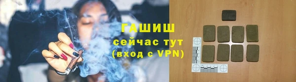 хмурый Арсеньев