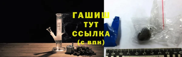 хмурый Арсеньев